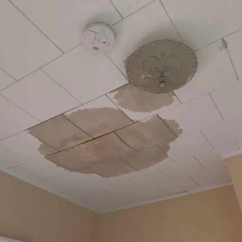 Ceiling Water Damage Repair in Midland Beach, NY